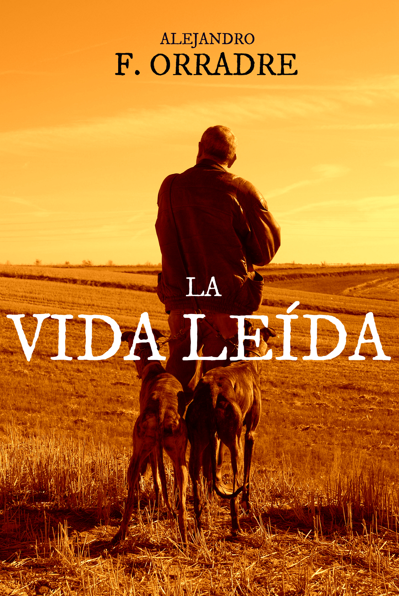 La vida leída - Alejandro F. Orradre Portada